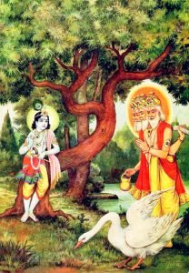 Brahma ji apologised tp Krishna
