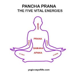Pancha Prana Pancha Prana