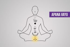 Apana Vayu Apana Vayu